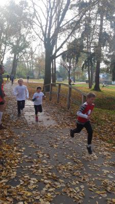 Foto des Albums: Anklamer Herbstcross