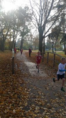 Foto des Albums: Anklamer Herbstcross