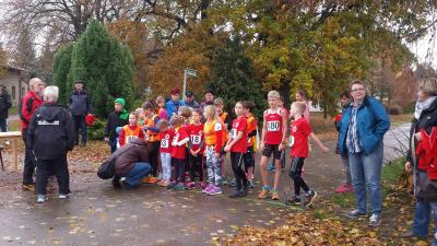 Foto des Albums: Schönower Herbstcross
