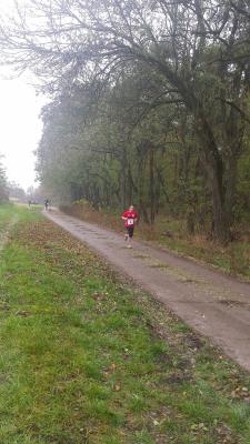 Foto des Albums: Schönower Herbstcross