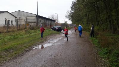 Foto des Albums: Schönower Herbstcross