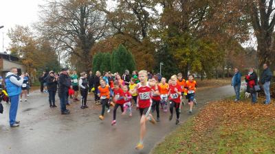 Foto des Albums: Schönower Herbstcross
