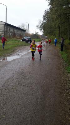 Foto des Albums: Schönower Herbstcross