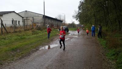 Foto des Albums: Schönower Herbstcross