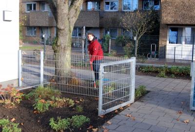 Foto des Albums: Gartenaktion 2015