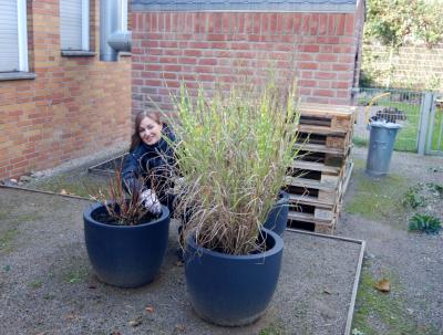 Foto des Albums: Gartenaktion 2015