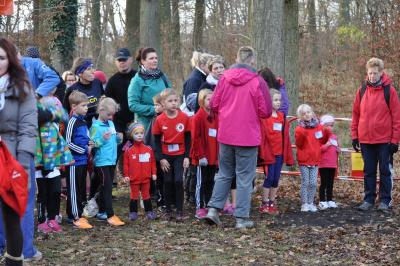 Foto des Albums: Torgelower Crosslauf