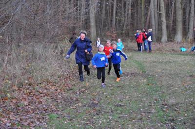 Foto des Albums: Torgelower Crosslauf