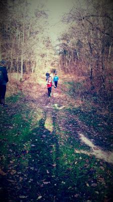 Foto des Albums: Torgelower Crosslauf