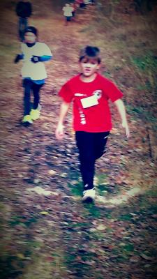 Foto des Albums: Torgelower Crosslauf