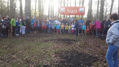Foto des Albums: Torgelower Crosslauf