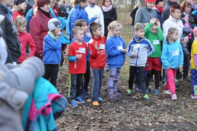 Foto des Albums: Torgelower Crosslauf