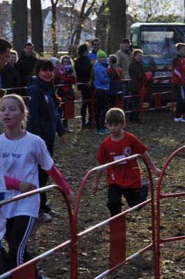Foto des Albums: Torgelower Crosslauf