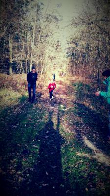 Foto des Albums: Torgelower Crosslauf