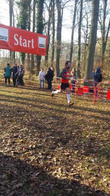 Foto des Albums: Torgelower Crosslauf