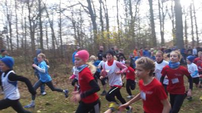Foto des Albums: Torgelower Crosslauf