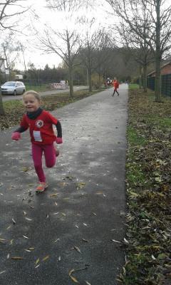 Foto des Albums: KM Crosslauf Prenzlau