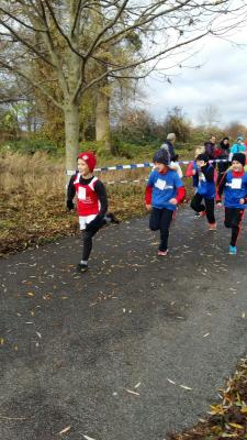 Foto des Albums: KM Crosslauf Prenzlau