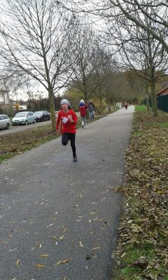 Foto des Albums: KM Crosslauf Prenzlau