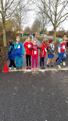 Foto des Albums: KM Crosslauf Prenzlau
