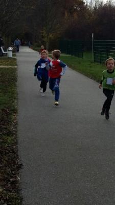 Foto des Albums: KM Crosslauf Prenzlau