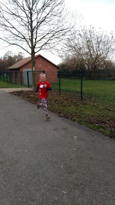 Foto des Albums: KM Crosslauf Prenzlau