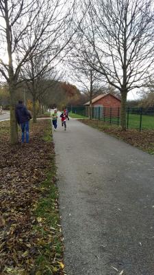 Foto des Albums: KM Crosslauf Prenzlau