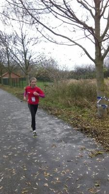 Foto des Albums: KM Crosslauf Prenzlau