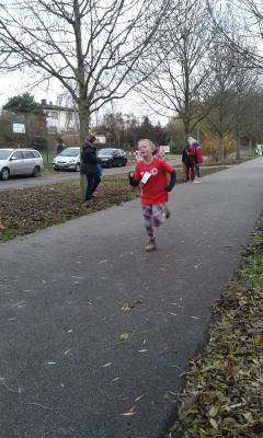 Foto des Albums: KM Crosslauf Prenzlau