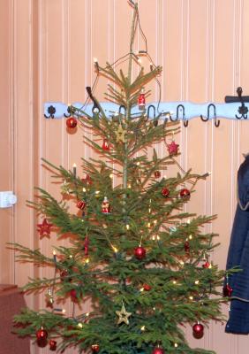 Foto des Albums: Jugendweihnachtsfeier 2015