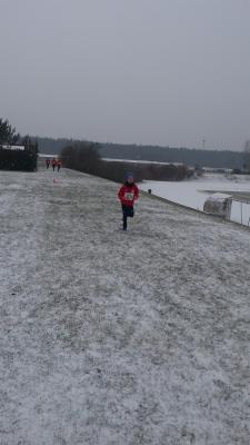 Foto des Albums: 1. UDG - Cup - Lauf Schwedt