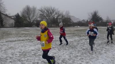 Foto des Albums: 1. UDG - Cup - Lauf Schwedt