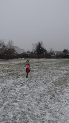 Foto des Albums: 1. UDG - Cup - Lauf Schwedt (08.​02.​2016)