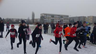 Foto des Albums: 1. UDG - Cup - Lauf Schwedt (08.​02.​2016)