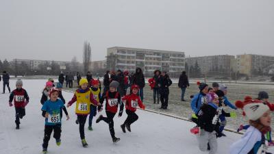 Foto des Albums: 1. UDG - Cup - Lauf Schwedt (08.​02.​2016)