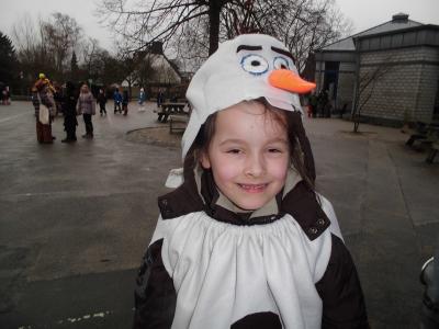 Foto des Albums: Karneval 2016