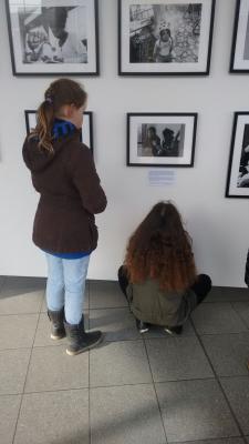 Foto des Albums: Ausstellungsbesuch im Rathaus: Unsere neuen Nachbarn