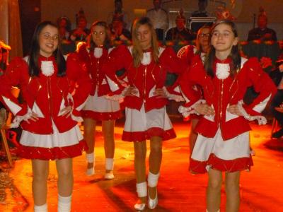 Foto des Albums: Fasching 2016