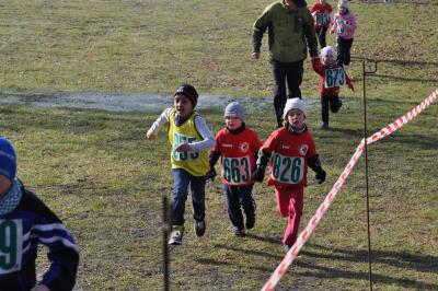 Foto des Albums: UDG - Cross - Cup Jamikow (26.​03.​2016)