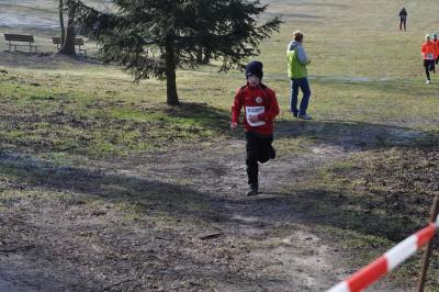 Foto des Albums: UDG - Cross - Cup Jamikow (26.​03.​2016)
