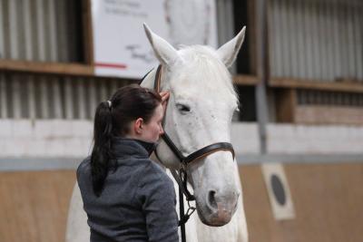 Foto des Albums: Pferdemassageseminar