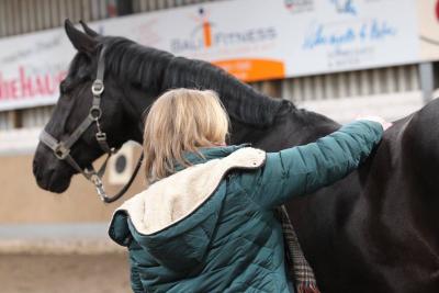 Foto des Albums: Pferdemassageseminar