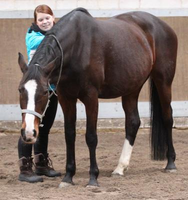 Foto des Albums: Pferdemassageseminar