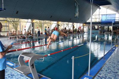Foto des Albums: Schwimmturnier 2016