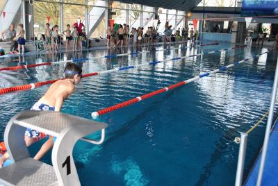 Foto des Albums: Schwimmturnier 2016