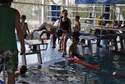 Foto des Albums: Schwimmturnier 2016