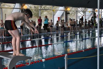 Foto des Albums: Schwimmturnier 2016