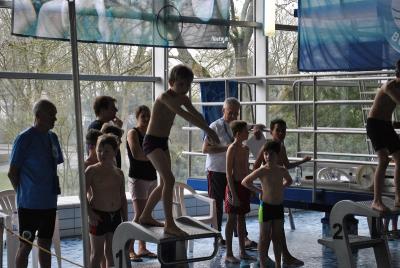 Foto des Albums: Schwimmturnier 2016