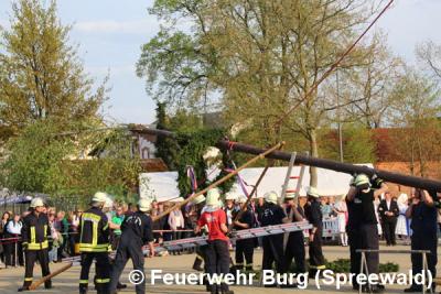Foto des Albums: Maibaum aufstellen