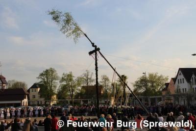 Foto des Albums: Maibaum aufstellen